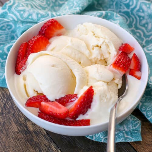 Lactose-Free Vanilla Ice Cream