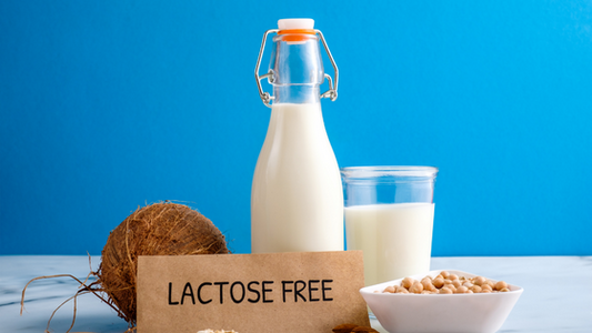 How Lactose Free Milk is Created 
